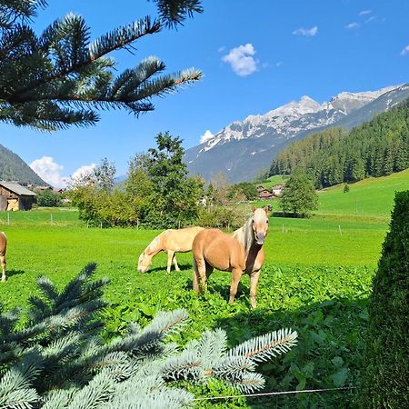 Appart Pfeifer Apartment Neustift im Stubaital Exterior photo