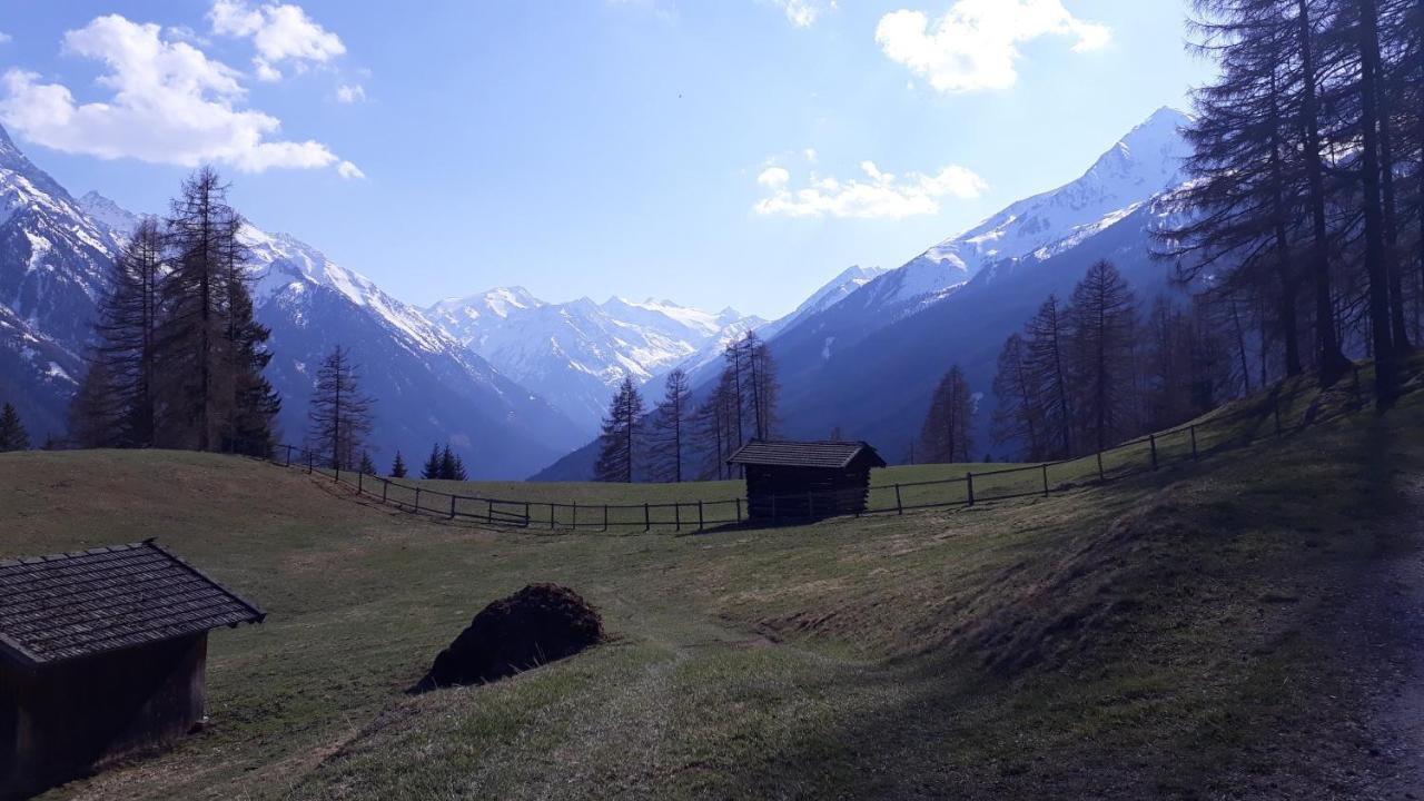 Appart Pfeifer Apartment Neustift im Stubaital Exterior photo