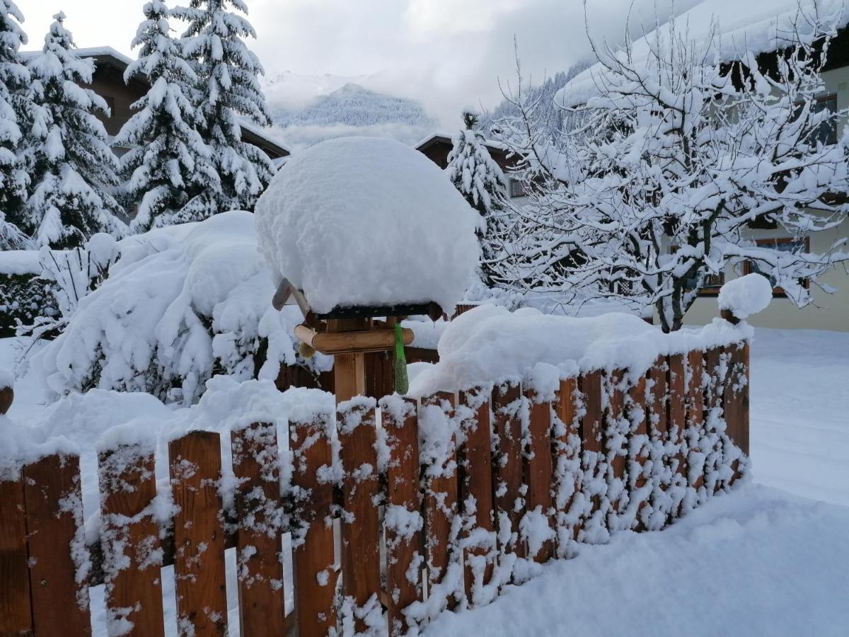 Appart Pfeifer Apartment Neustift im Stubaital Exterior photo