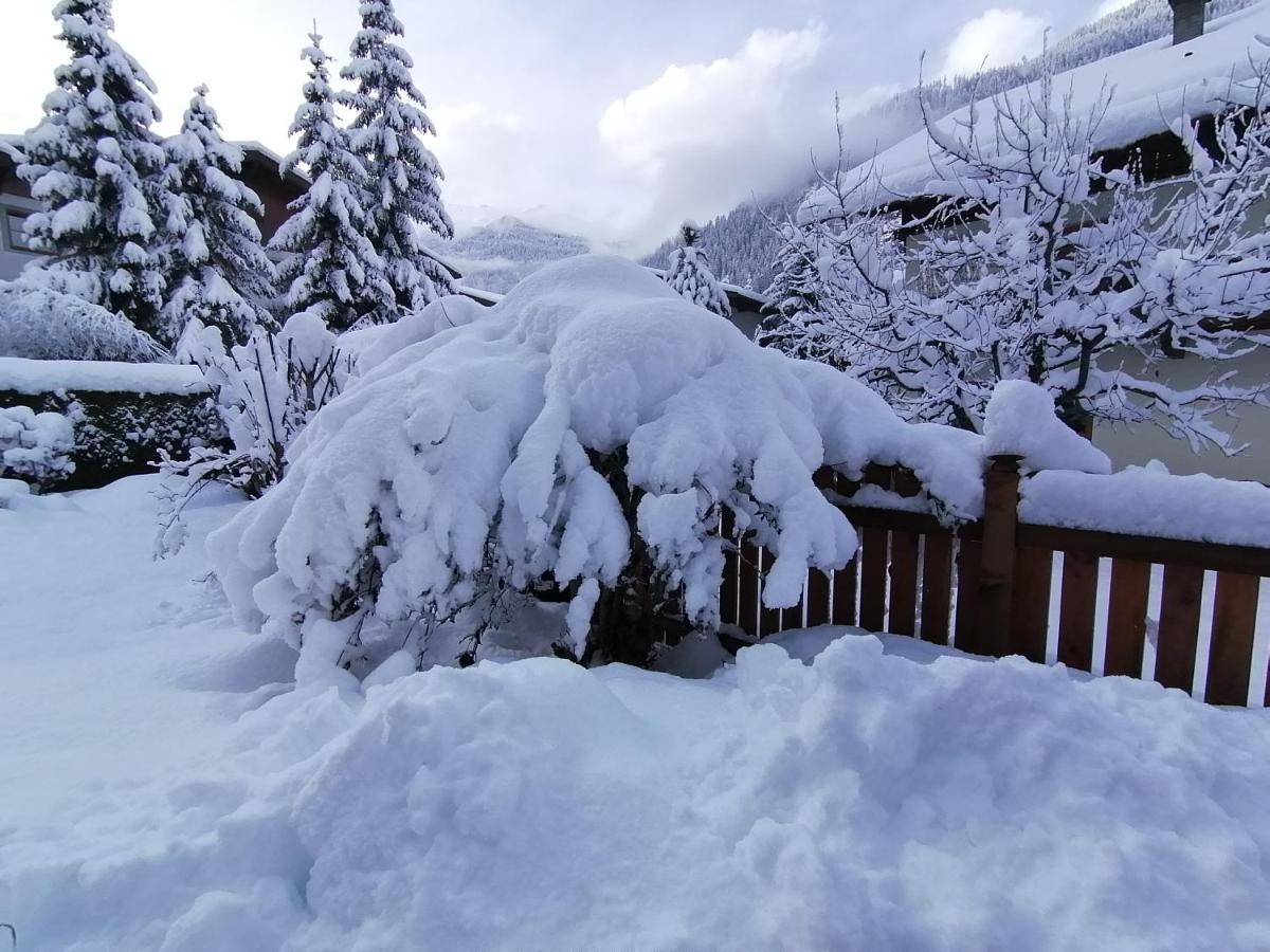 Appart Pfeifer Apartment Neustift im Stubaital Exterior photo