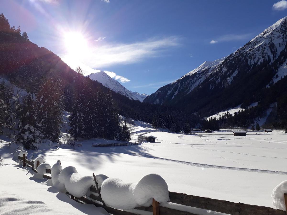 Appart Pfeifer Apartment Neustift im Stubaital Exterior photo