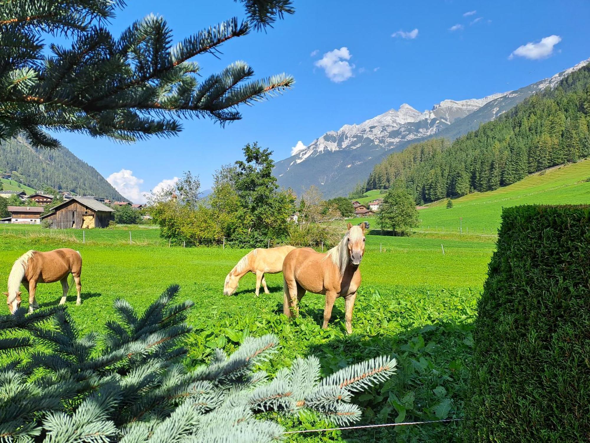 Appart Pfeifer Apartment Neustift im Stubaital Exterior photo