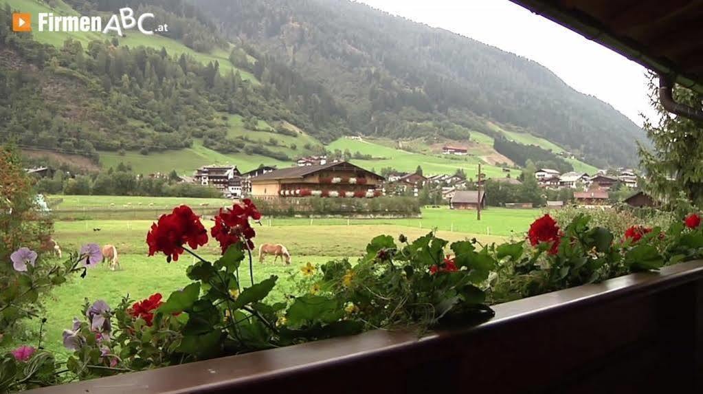 Appart Pfeifer Apartment Neustift im Stubaital Exterior photo